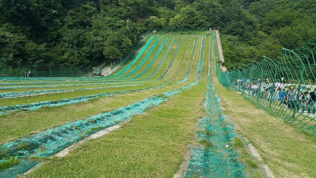Hubei Hongshan IFM (Conversion of Logged to Protected Forest) Project carbon project preview
