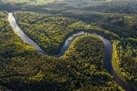 Cikel Brazilian Amazon REDD APD Project Avoiding Planned Deforestation carbon project preview